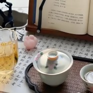 什么是泉岗辉白