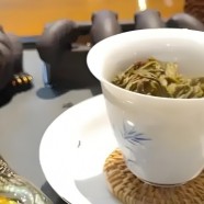 老班章产地在哪里