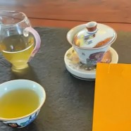 杭白菊好还是胎菊好