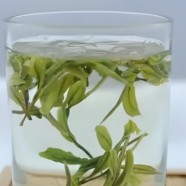 什么是松阳银猴