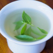 什么是古劳茶