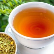 滇红金螺属于什么档次的茶