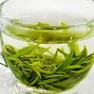 什么是天柱剑毫