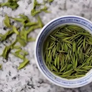 什么是瑞草魁
