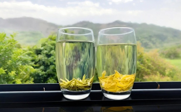 远安黄茶产地在哪里