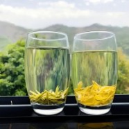 远安黄茶产地在哪里