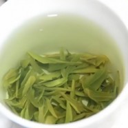 什么是天目青顶