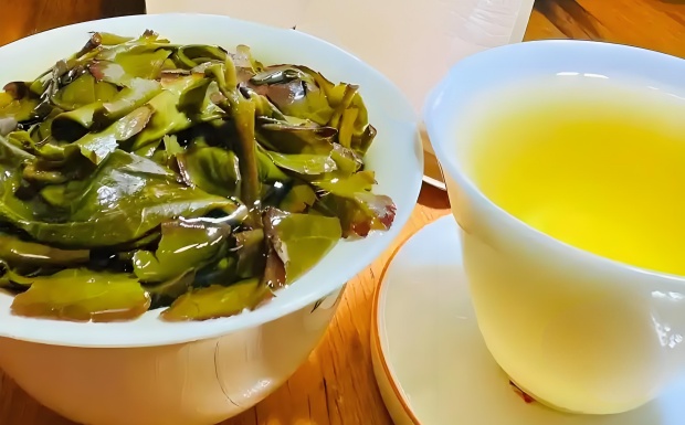 闽南水仙茶是油茶吗