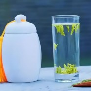 什么是覃塘毛尖茶