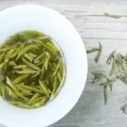 什么是巴山雀舌