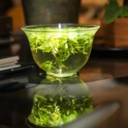 绿宝石茶属于什么茶