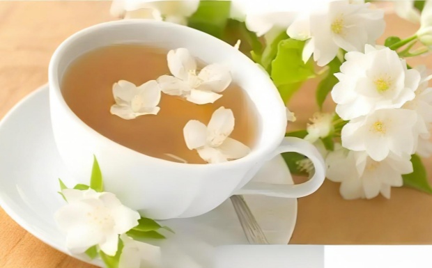 白兰花茶是热性还是凉性