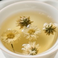 胎菊多少度水泡合适