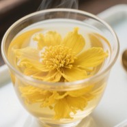 金莲花茶功效有什么