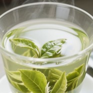通天岩茶品质特点有哪些