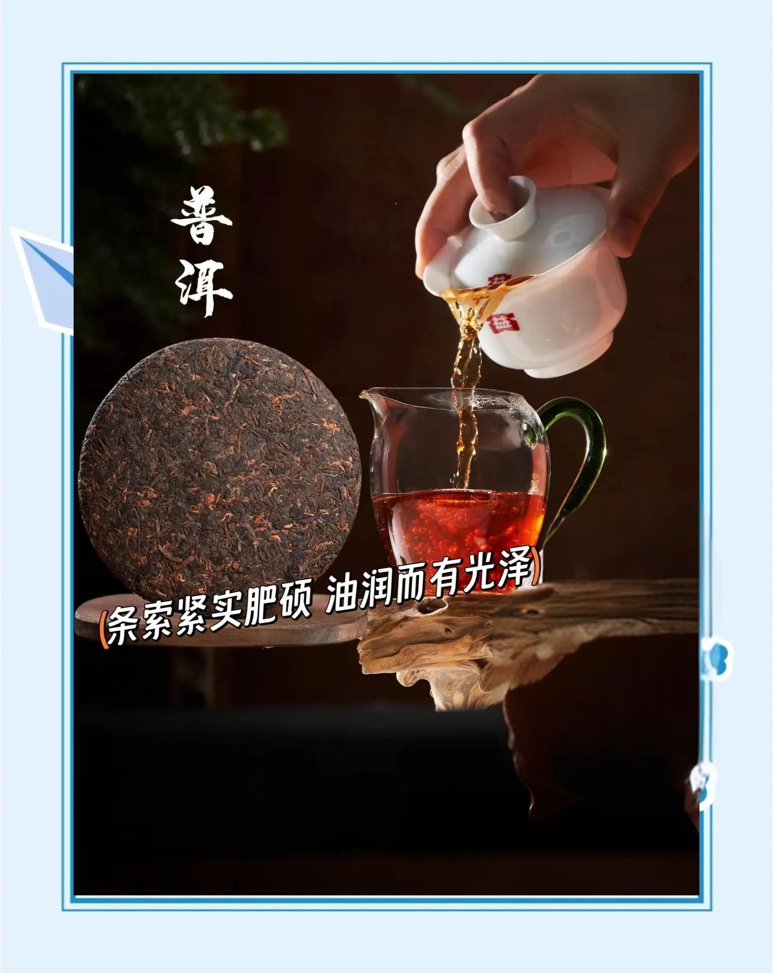 七子饼茶：从历史深处走来的茶香传奇