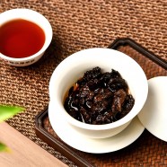 受众多茶友喜欢的老茶头到底口感如何