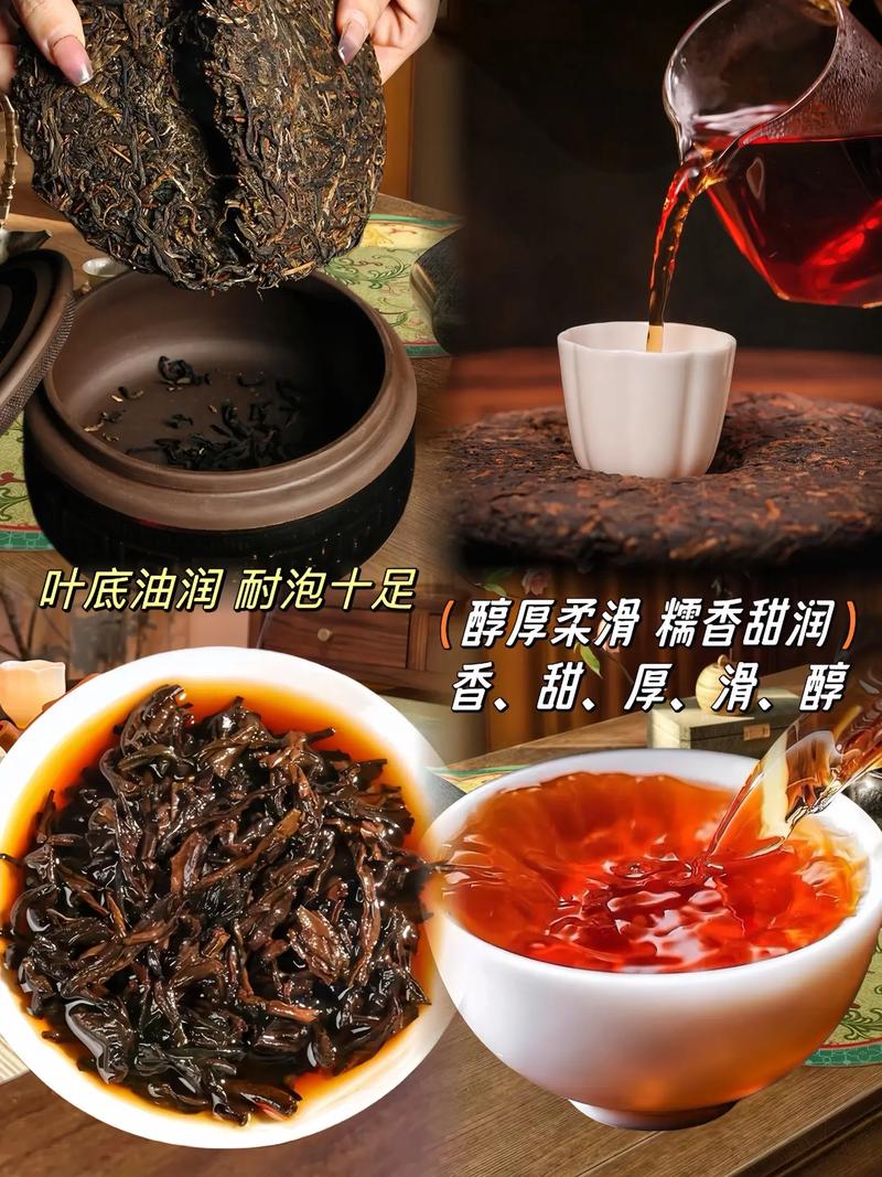 七子饼茶：熟茶与生茶如何选择