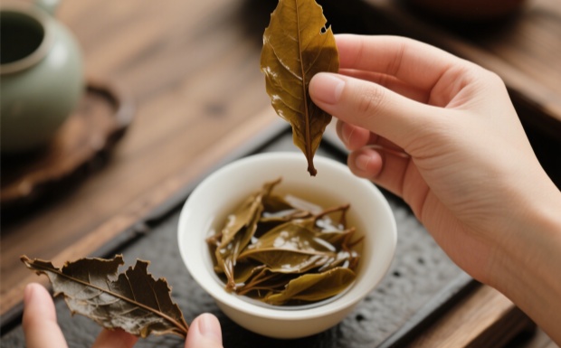 安溪色种好坏鉴别方法