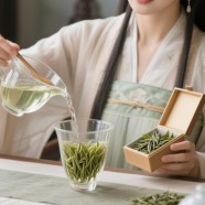 什么是屯溪绿茶