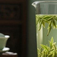 什么是水西翠柏