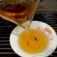 七子饼茶什么价位