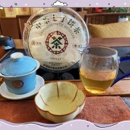 七子饼茶的正确泡法