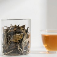 贡眉茶能放多久