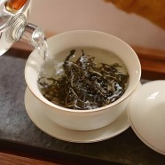 老班章茶产地的生态环境介绍