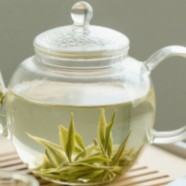 白马毛尖属于什么茶