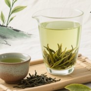 什么是龙岩斜背茶