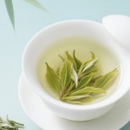 宝顶雪芽属于什么茶