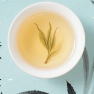踏雪兰妃多少度水泡好