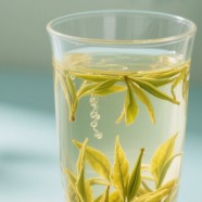远安黄茶属于啥档次