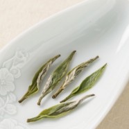 宝顶雪芽是不是好茶
