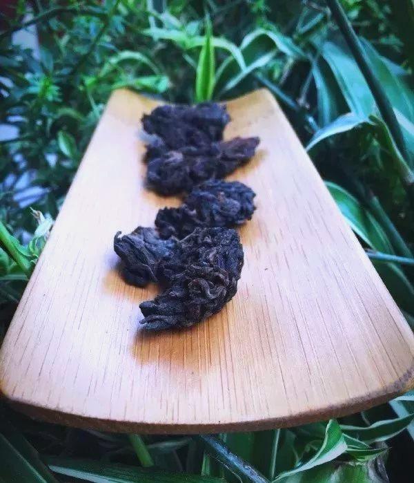 老茶头：岁月凝练的普洱茶中黄金