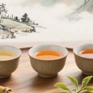 什么是小布岩茶