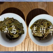 老班章 VS 冰岛：产地、工艺与口感的全方位对比