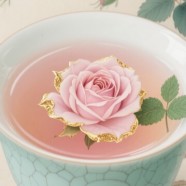 金边玫瑰茶的特点是什么
