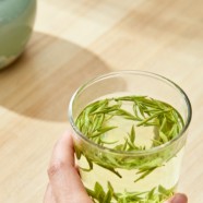 什么是清溪玉芽
