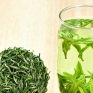 天山绿茶特点是什么