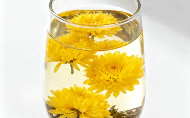 菊花茶好不好喝