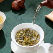 麻姑茶怎么样