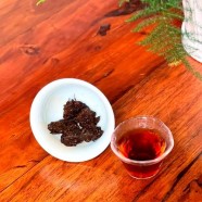 老茶头的冲泡方法详解指南