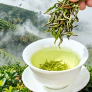 江西狗牯脑茶的特点有哪些