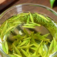 建德苞茶的特点有哪些