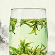 江山绿牡丹好不好喝