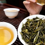 凤凰单丛茶好不好喝