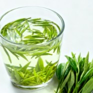 蒲江雀舌好不好喝