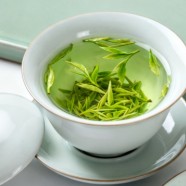 舒城兰花怎么样